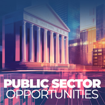Public Sector Opportunities