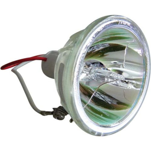 ECL-4648-PG