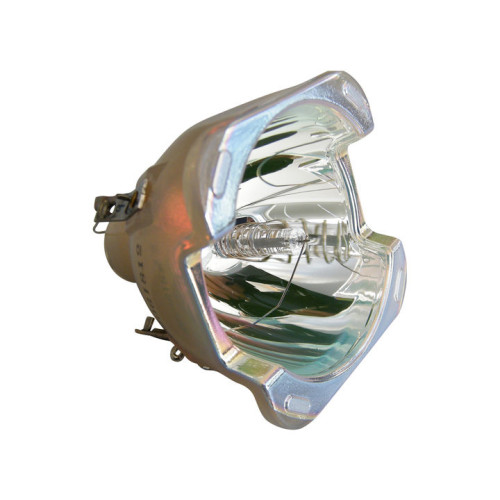 ECL-4951-PG