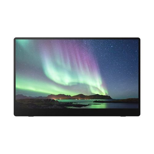 Portable Monitor 150
