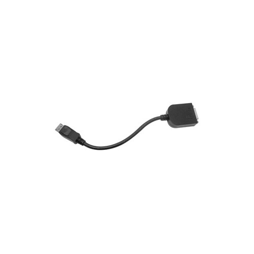 Siig CB-DP0072-S1 video cable adapter 0.24 m DisplayPort DVI-D Black CB-DP0072-S1