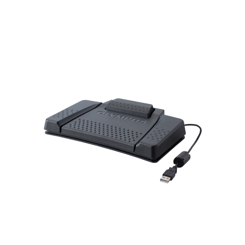 RS31H