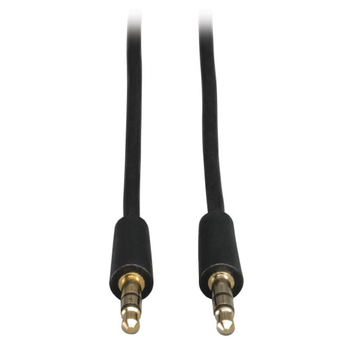 P312-010 3.5mm Mini Stereo Audio Cable for Microphones, Speakers and Headphones (M/M), 10 ft. (3.05 m)