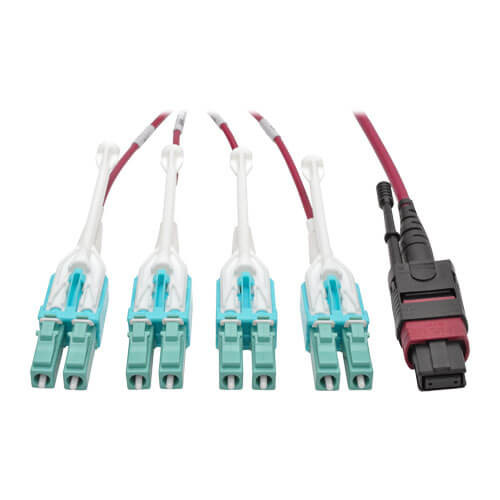 N845-01M-8L-MG 40G MTP/MPO to 4xLC Fan-Out OM4 Plenum-Rated Fiber Optic Cable, 40GBASE-SR4, Push/Pull Tabs, Magenta, 1 m