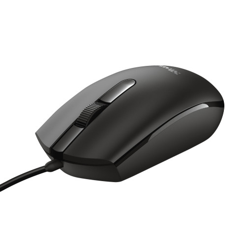 Basi