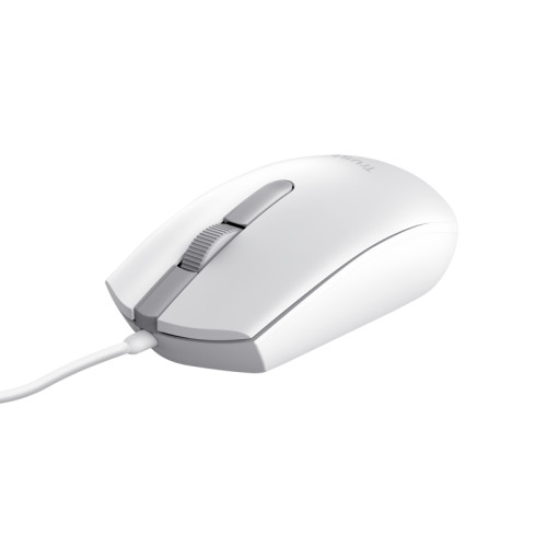 TM-101W