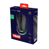 GXT 922 YBAR