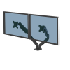 Fellowes Dual Monitor Arm - Platinum Series Monitor Mount for Two 8KG 40 Inch Screens - Adjustable Dual Monitor Desk Mount - Tilt 45Â° Pan 180Â° Swivel 360Â° Rotation 360Â°, VESA 75 x 75/100 