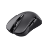GXT 923 YBAR