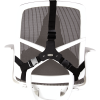 Fellowes Back Support for Office Chair - Professional Series Ultimate Back Support with Antibacterial Protection - H36.5 x W37.5 x D5.5cm