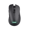 GXT 923 YBAR