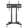 Holds One 23" to 70" TV up to 40 kg (88 lbs.), +45Â° Tilt, Low Height Ideal for Stages and Presenter Notes, Black