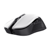 GXT 923W YBAR