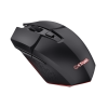 GXT 112 FELOX