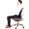 Fellowes Back Support for Office Chair - Professional Series Mesh Office Chair Back Support - Easy To Attach - H19.53 x W30.32 x D36.99cm