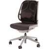 Fellowes Back Support for Office Chair - Professional Series Mesh Office Chair Back Support - Easy To Attach - H19.53 x W30.32 x D36.99cm