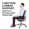Fellowes Back Support for Office Chair - Professional Series Ultimate Back Support with Antibacterial Protection - H36.5 x W37.5 x D5.5cm