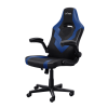 GXT 703B RIYE