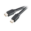 Akasa Mini DisplayPort 2m Black