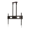 Extra-Large Universal Flat Screen Ceiling Mount (VESA 1100 x 700) - 1m ÃË50mm Poles