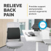 Fellowes Back Support for Office Chair Breyta Comfort Back Cushion - 100119852