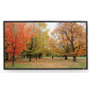 Sapphire AV SFSC203-SB projection screen 2.34 m (92") 16:9