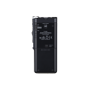 Olympus DS-2600 Flash card Black