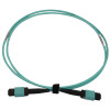 N844B-01M-12-P 40/100/400G Multimode 50/125 OM3 Fiber Optic Cable (12F MTP/MPO-PC F/F), LSZH, Aqua, 1 m (3.3 ft.)