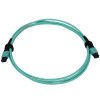 N844B-02M-12-P 40/100/400G Multimode 50/125 OM3 Fiber Optic Cable (12F MTP/MPO-PC F/F), LSZH, Aqua, 2 m (6.6 ft.)