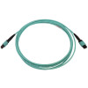 N844B-03M-12-P 40/100/400G Multimode 50/125 OM3 Fiber Optic Cable (12F MTP/MPO-PC F/F), LSZH, Aqua, 3 m (9.8 ft.)