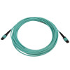 Tripp Lite N844B-10M-12-P 40/100/400G Multimode 50/125 OM3 Fiber Optic Cable (12F MTP/MPO-PC F/F), LSZH, Aqua, 10 m (32.8 ft.)
