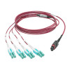 N845-01M-8L-MG 40G MTP/MPO to 4xLC Fan-Out OM4 Plenum-Rated Fiber Optic Cable, 40GBASE-SR4, Push/Pull Tabs, Magenta, 1 m
