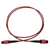 N845B-01M-12-MG 100G Multimode 50/125 OM4 Fiber Optic Cable (12F MTP/MPO-PC F/F), LSZH, Magenta, 1 m (3.3 ft.)