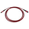 Tripp Lite N845B-02M-12-MG 100G Multimode 50/125 OM4 Fiber Optic Cable (12F MTP/MPO-PC F/F), LSZH, Magenta, 2 m (6.6 ft.)