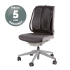 Fellowes Back Support for Office Chair - Office Suites Mesh Back Support with Mesh Fabric - H51.28 x W43.97 x D14.13cm