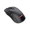 GXT 923 YBAR