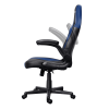 GXT 703B RIYE
