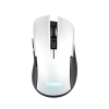 GXT 923W YBAR