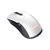 GXT 923W YBAR