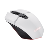 Trust GXT 110 FELOX mouse Gaming Right-hand RF Wireless Optical 4800 DPI 25069