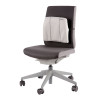 Slimline Back Support Graphite