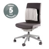 Slimline Back Support Graphite